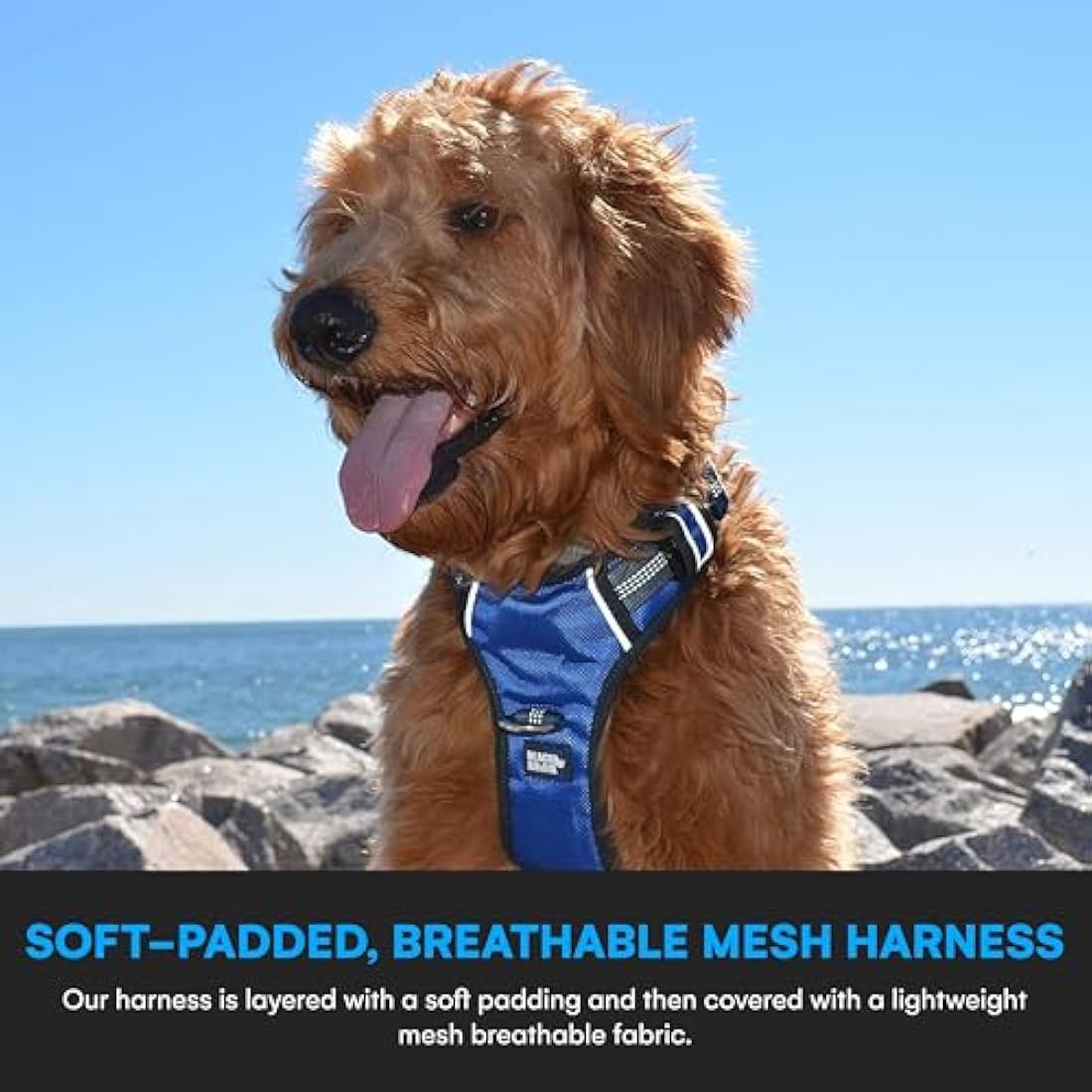 Black Rhino - Comfort Dog Harness with Mesh Padded Vest for Small - Large Breeds | Adjustable, Reflective | 2 Leash Attachments on Chest & Back - Neoprene Padded Training Handle | Large, Blue-Green