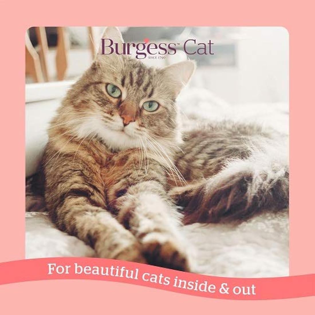 Burgess Dry Cat Food for Adult Cats Rich in Salmon, 1.5 kg