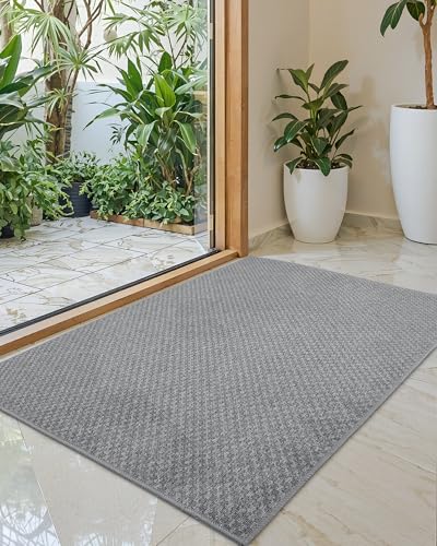 COLOR&GEOMETRY Door Matts Indoor 61 x 92 cm, Thin Indoor Door Mats Non Slip, Absorbent Dirt Trapper Doormat, Outdoor Mats for Front Door, Washable