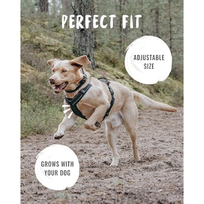 Rudelkönig dog harness Paola - Reflective Chest Harness with Handle - Adjustable large no pull harness for dogs - For very large dogs