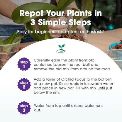 Orchid Focus Repotting Mix, 3L - Growth Technology Orchid Potting Mix for Orchid Plants - Peat-Free Orchid Potting Mix - Orchid Compost For Repotting Pants - Professional Grade Orchid Bark