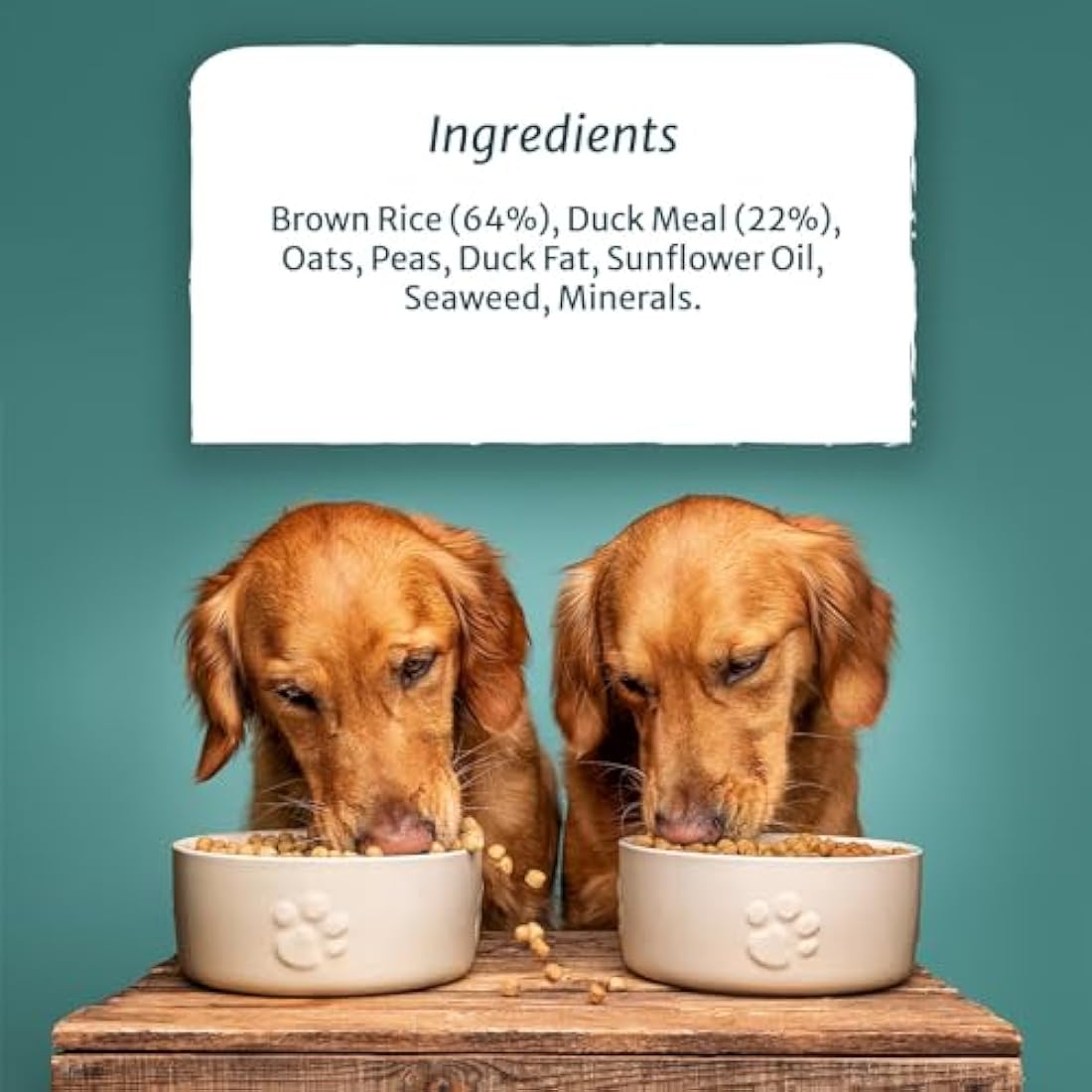 Burns Pet Nutrition Hypoallergenic Complete Dry Dog Food Adult and Senior Dog Sensitive with Duck and Brown Rice 6 kg