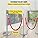 FlowerW Set of 4 Silver Round Top Queue Barrier Posts Stands Security Stanchion Rope Divider with 1.5M Red 3 Velvet Rope