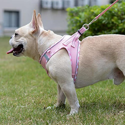 DORAMIO Step-in Dog Harness and Leash Set, Soft Mesh No-Chock Reflective Breathable Easy Walk Lightweight Vest Harnesses with Safety Buckle for Small Dogs, Cats, Puppies (Pink, XL)
