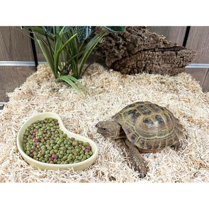 Komodo Complete Holistic Tortoise Diet Fruit and Flower 170g, Balanced food for Torotises, Natural Flavoured Tortoise Food
