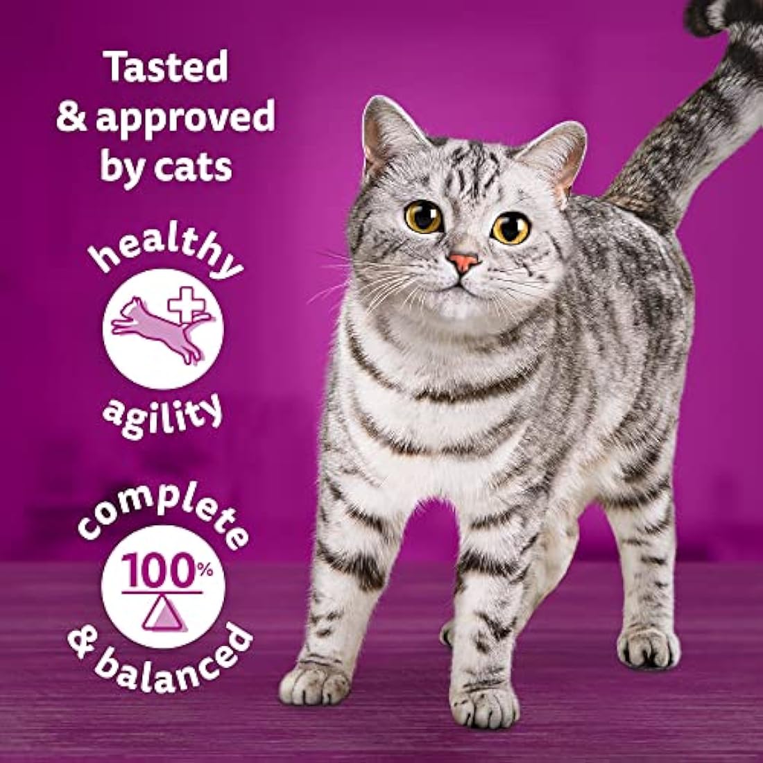 Whiskas Tasty Mix 1+ Catch of the Day in Gravy Adult Cat Food 12 Pouches 85g, Pack of 4