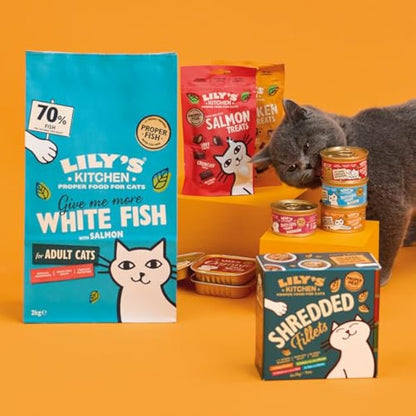 Lily's Kitchen Made with Natural Ingredients Adult Dry Cat Food White Fish with Salmon Grain-Free Recipe 4 x 800g