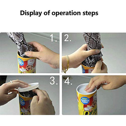 JIANGTYH The Potato Chip Snake Can Jump Spring Snake Toy Gift April Fool Day Halloween Party Decoration Jokes in A Can Gag Gift Prank,Potato Chip Style,Popcorn 2 Pieces