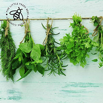Herb Seeds for Gardening, 15 Seed Varieties Included in This Grow Your Own Herb Garden Pack, The Little Trees Bees & Seeds Company