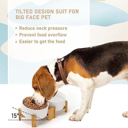 SPUNKYJUNKY 15° Slanted Ceramic Dog and Cat Bowl with Wooden Stand, Tilted Bulldog Food and Water Bowl No Slip Non-Spill for Cats Medium Dogs Flat Face Pets (850ml, White × 2)