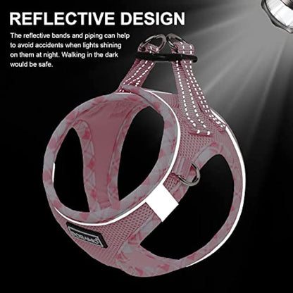 DORAMIO Step-in Dog Harness and Leash Set, Soft Mesh No-Chock Reflective Breathable Easy Walk Lightweight Vest Harnesses with Safety Buckle for Small Dogs, Cats, Puppies (Pink, XL)