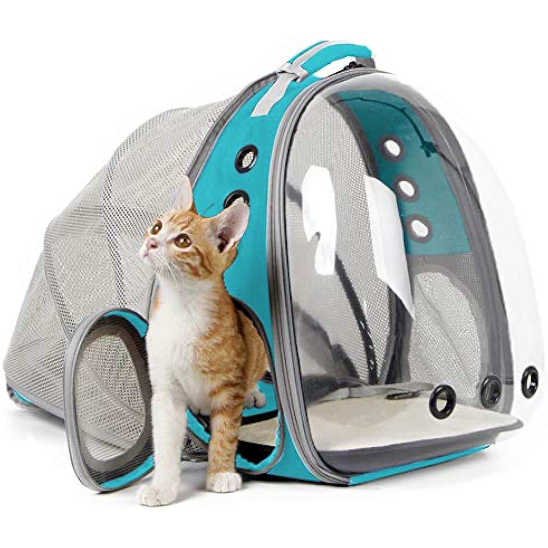 Interfashioner® Cat Bubble Backpack Carrier, Back Expandable Clear Pet Bubble Backpack Carrier for Kitten Small Dog up to 5.5 kgs, Backpack for Cats