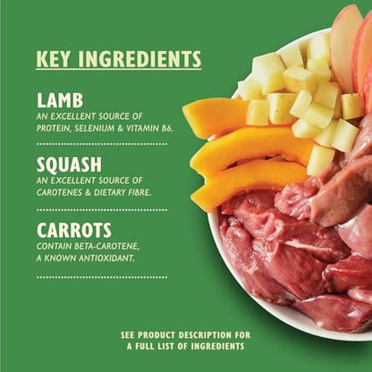 Lily's Kitchen Natural Adult Dog Food Wet Tins - Lamb Hotpot - Complete Meal Recipes (6 Tins x 400g)