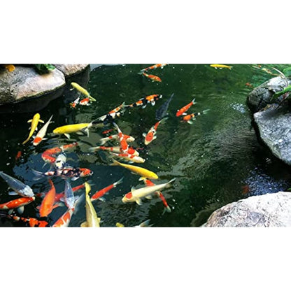 AlpineReach Koi Pond Netting Kit 8.5m x 9m Black Heavy Duty Woven Fine Mesh Net Cover for Leaves - Protects Koi Fish from Blue Heron Birds, Cats & Predators – Reusable & Stakes Included