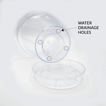 Kalapanta Clear Plastic Orchid Pot with Drainage Holes and Saucer (3, 16 cm Diameter)
