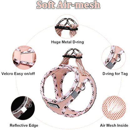 DORAMIO Step-in Dog Harness and Leash Set, Soft Mesh No-Chock Reflective Breathable Easy Walk Lightweight Vest Harnesses with Safety Buckle for Small Dogs, Cats, Puppies (Champagne, XL)
