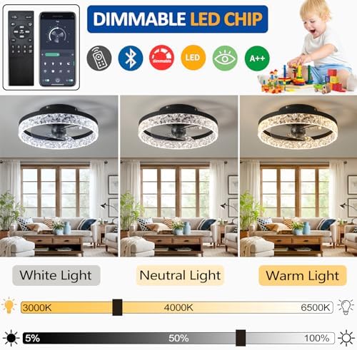 Quiet Ceiling Fans with Lights Remote Control, Modern Lighting Fan Ceiling Light LED Dimmable Ceiling Fan Lamps for Bedroom Living Room, Fan Reversible and 6 Speeds (Black, 40CM)