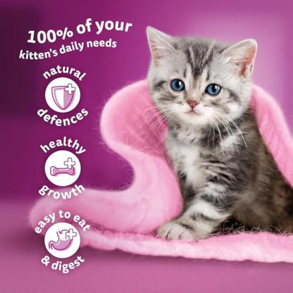 whiskas Junior Poultry Selection in Jelly 84 Pouches, Wet Kitten and Cat Food, Selection of Chicken, Duck, Poultry and Turkey, Megapack (84 x 85 g)