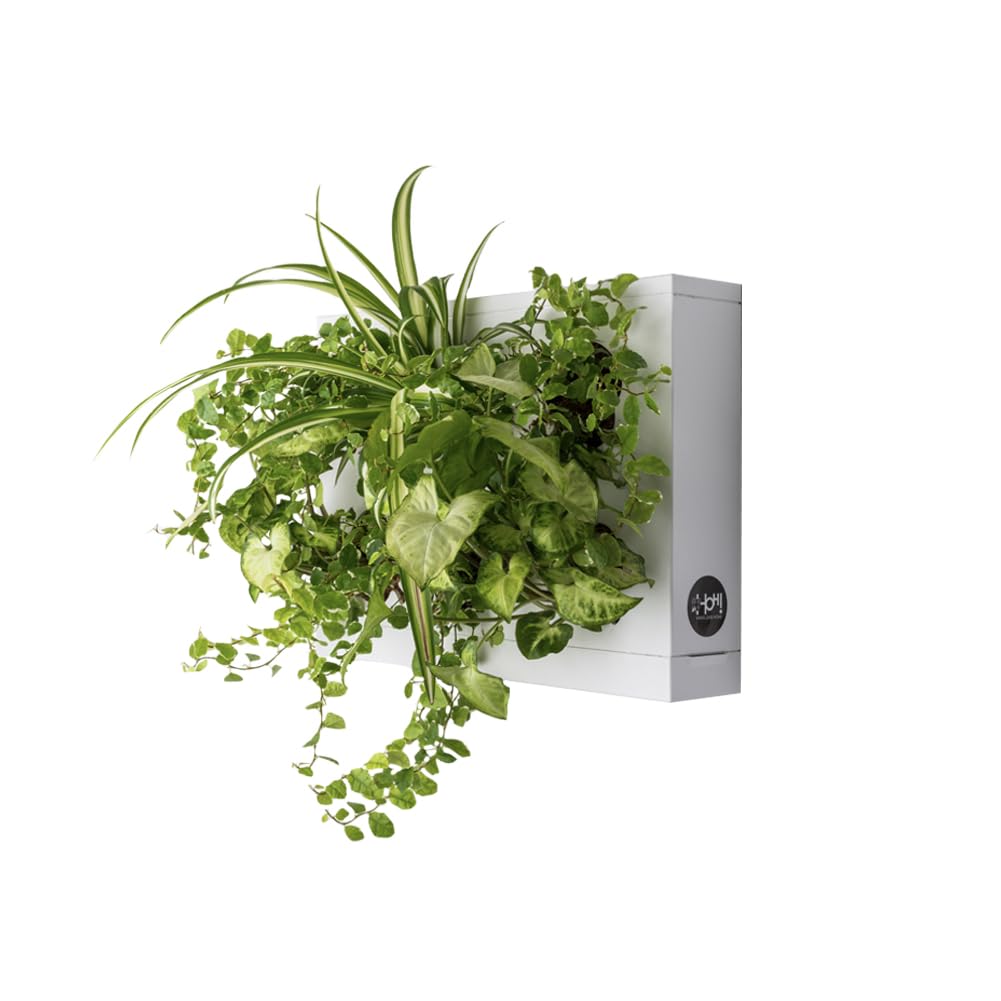 Ortisgreen HOH, Indoor and Outdoor Wall Mount Hanging Multi Plant Pot In White (ABS Plastic) with Natural Substrate and Instruction Included, Hanging