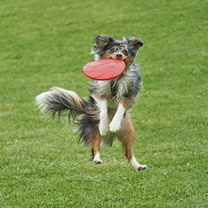 Vivifying Dog Flying Disc, 2 Pack 7 Inch Natural Rubber Floating Flying Saucer for Both Land and Water (Green + Red)