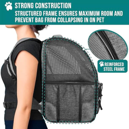 PetAmi Deluxe Pet Carrier Backpack for Small Cats and Dogs, Puppies | Ventilated Design, Two-Sided Entry, Safety Features and Cushion Back Support | for Travel, Hiking, Outdoor Use (Heather Gray)