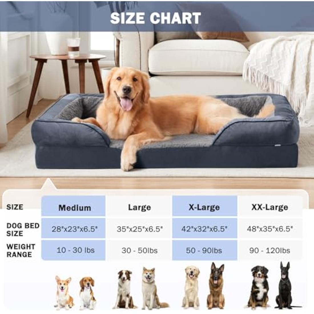 JOEJOY Large Dog Bed, Orthopedic Memory Foam Dog Beds, Washable Pet Bed, Grey, Fits up to 50lbs, Good for Doberman Pinscher, Sheltie, Border Collie, Australian Herding Dog