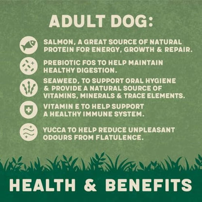 Harringtons Complete Dry Adult Dog Food Salmon & Potato 18kg - Made with All Natural Ingredients