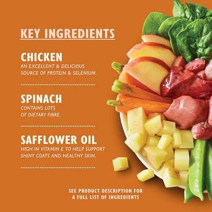 Lily's Kitchen Natural Adult Dog Food Wet Trays - Complete Grain-Free Multipack - Chicken, Fish & Venison (6 Trays x 150g)