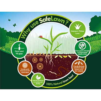 Westland 20400352 SafeLawn Child and Pet Friendly Natural Lawn Feed 80 m2, Green, 2.8 kg