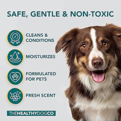The Healthy Dog and Cat Co. – All Natural Flea Shampoo for Dogs & Cats – Gentle Wash with Quassia & Lemongrass – Safe, Vegan Formula for Itchy Skin – Dog & Cat Shampoo – Made in UK