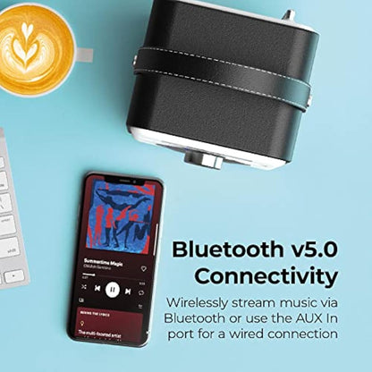 DAB Radio Portable, DAB/DAB Plus Radio, FM Radio, Portable Bluetooth Speaker, Digital Radio with USB Charging for 10 Hours Playback, Bluetooth Stereo Speakers, Rechargeable