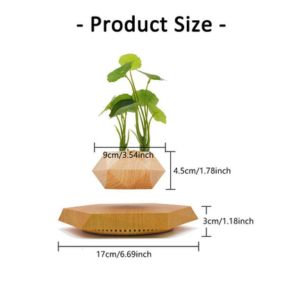 Kiko-ershaa Levitation Plant Pot Floating Air Bonsai Pot Suspension Flower Pot Planter for Desk Decoration