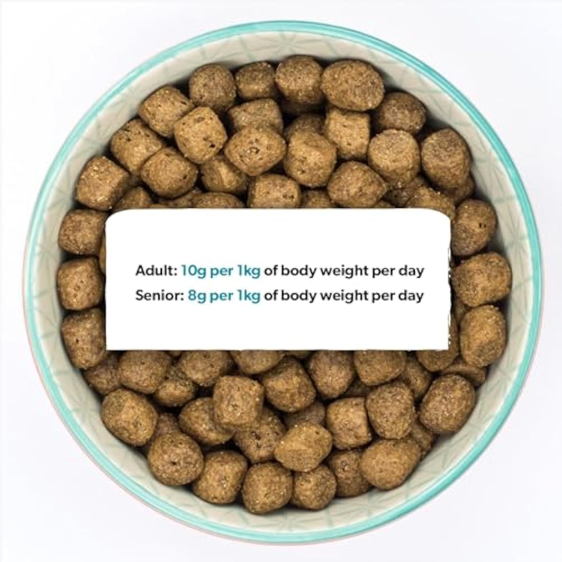Burns Pet Nutrition Hypoallergenic Complete Dry Dog Food Adult and Senior Dog Sensitive with Pork and Potato 12 kg