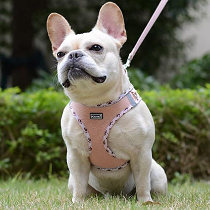 DORAMIO Step-in Dog Harness and Leash Set, Soft Mesh No-Chock Reflective Breathable Easy Walk Lightweight Vest Harnesses with Safety Buckle for Small Dogs, Cats, Puppies (Champagne, S)