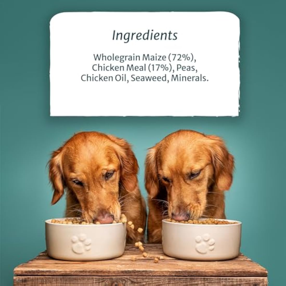 Burns Pet Nutrition Hypoallergenic Complete Dry Dog Food Adult and Senior Dog Sensitive with Chicken 6 kg