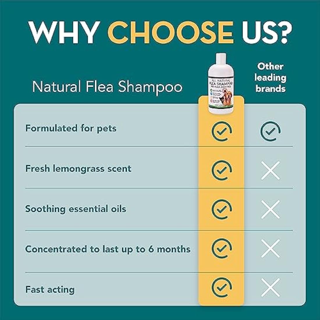 The Healthy Dog and Cat Co. – All Natural Flea Shampoo for Dogs & Cats – Gentle Wash with Quassia & Lemongrass – Safe, Vegan Formula for Itchy Skin – Dog & Cat Shampoo – Made in UK