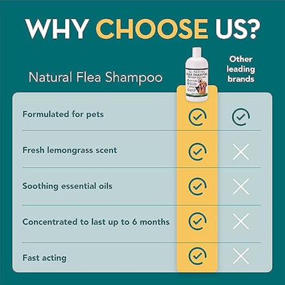 The Healthy Dog and Cat Co. – All Natural Flea Shampoo for Dogs & Cats – Gentle Wash with Quassia & Lemongrass – Safe, Vegan Formula for Itchy Skin – Dog & Cat Shampoo – Made in UK