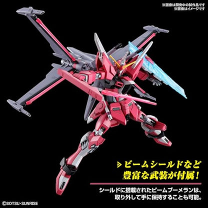 BANDAI Hobby HG Gundam 1/144 Infinite Justice Gundam Type II