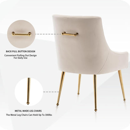 SEYNAR Dining Chair Set of 2,Modern Velvet Dining Chairs with Gold Legs,Elegant Tufted Accent Chairs for Reception, Living Room or Study Room