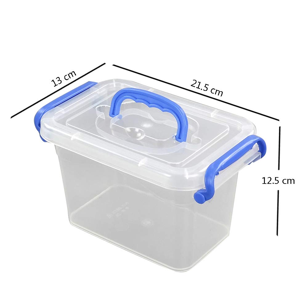 Eudokky Mini Storage Box with Lid, 1.8 L Plastic Transparent Boxes Set of 6