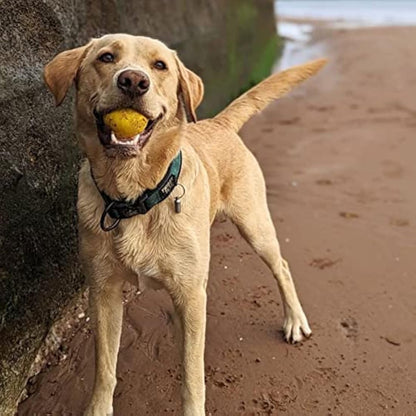 SPORTSPET Tough Bounce Natural Rubber Dog Balls – Highly Durable Tough Bounce Balls, Tennis Ball Size (65mm) – 4 Pack - Colourway 2