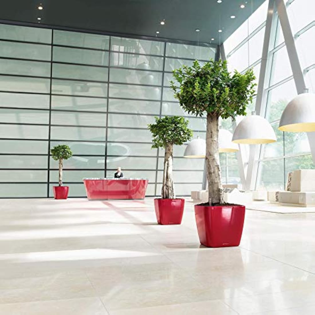 Lechuza Self Watering Plant Pot QUADRO LS 50 Garden Flower Indoor and Outdoor Plastic Planter with Drainage Hole H47 L50 W50 cm Charcoal Metallic