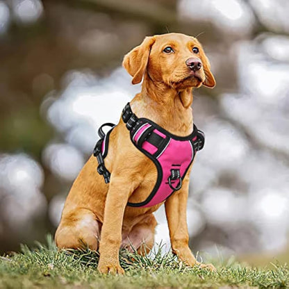 HEELE No Pull Dog Harness - Reflective, Adjustable with Front/Back Leash Attachments & Soft Padded Control Handle for Small to Large Dogs, Fuchsia, L