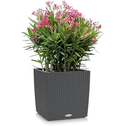Lechuza Self Watering Plant Pots CUBE Cottage 40 Rattan Look Plastic Garden Outdoor Indoor Planter with Drainage Hole H40 L40 W40 cm Granite
