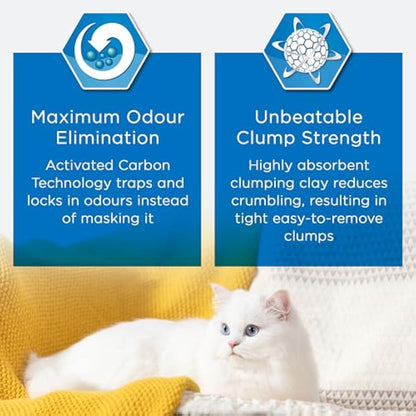 Ever Clean Clumping Cat Litter, Scented Cat Litter, Litterfree Paws, Long-lasting Freshness, Dust-Free Formula, 10 l (Pack of 1)