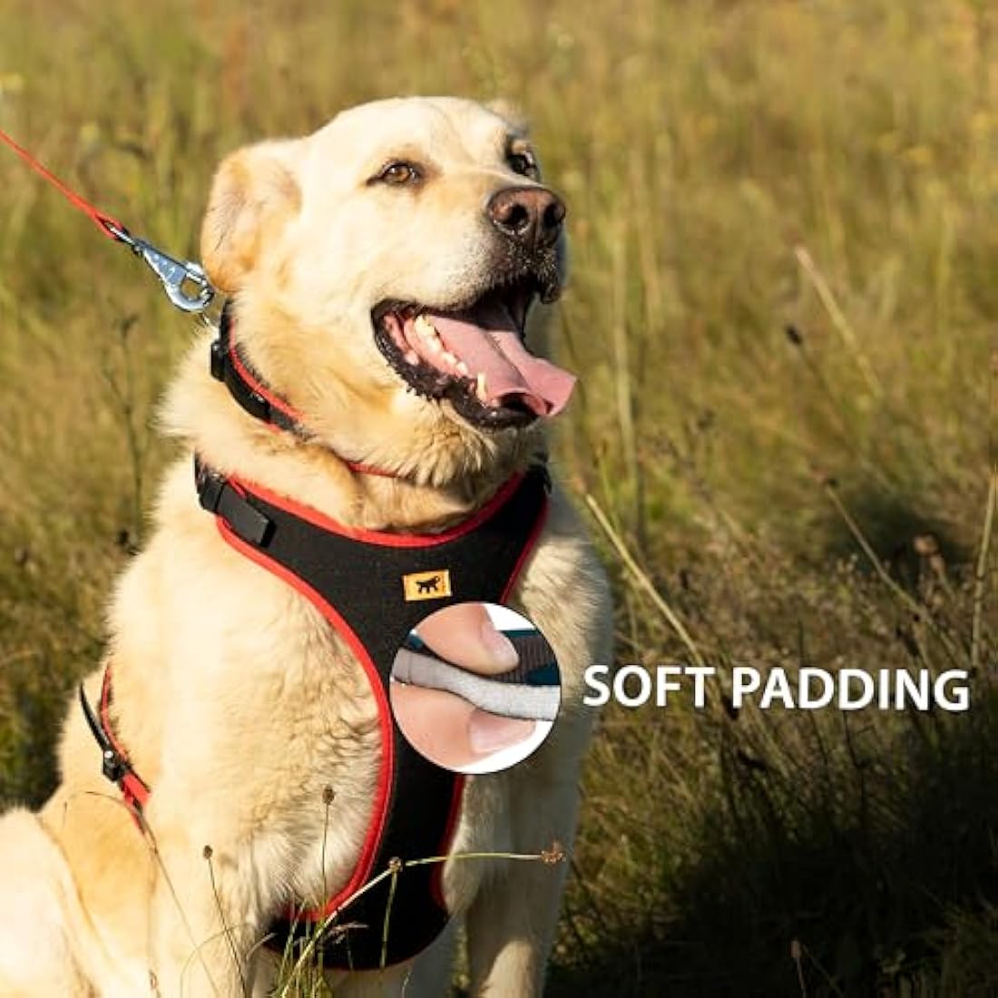 Ferplast Small Size Dog Harness ERGOCOMFORT EXTRA SMALL, Adjustable Dog Harness, Comfortable, Padded, Double Micro-adjustment Closure, Quick Release, Red