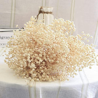 OUKEYI 17 Inch Dried Flowers Baby's Breath Bouquet - 2000+ Ivory White Dry Flowers,Natural Gypsophila Branches for Home Decor, Wedding, Table Decor, DIY Wreath Floral, Dry Flowers Bulk for Vase