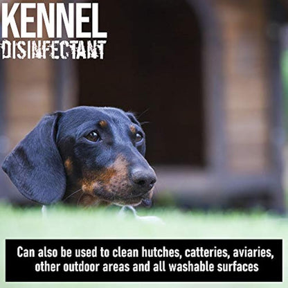 ULTIMA-PLUS XP Kennel Kleen - Disinfectant, Cleaner, Sanitiser, Deodoriser, Concentrated, For use in Kennels, Catteries, Hatches and More! Lavender Fragrance, 5 L