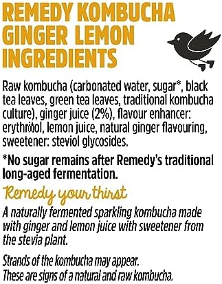 Remedy Raw Kombucha Tea - Sparkling Live Cultured Drink - Sugar Free Ginger Lemon - 250ml Can (24 Pack)