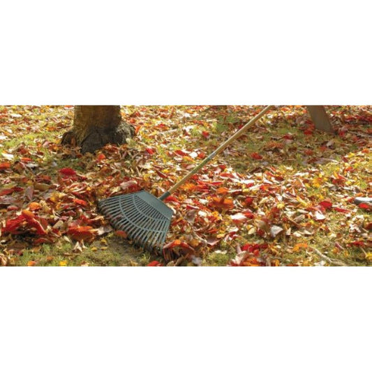 Draper 550mm Plastic Leaf Rake | 23 Teeth Outdoor Garden Hand Tool | Varnished Natural Wood Handle | Lawn Leveling | 31069